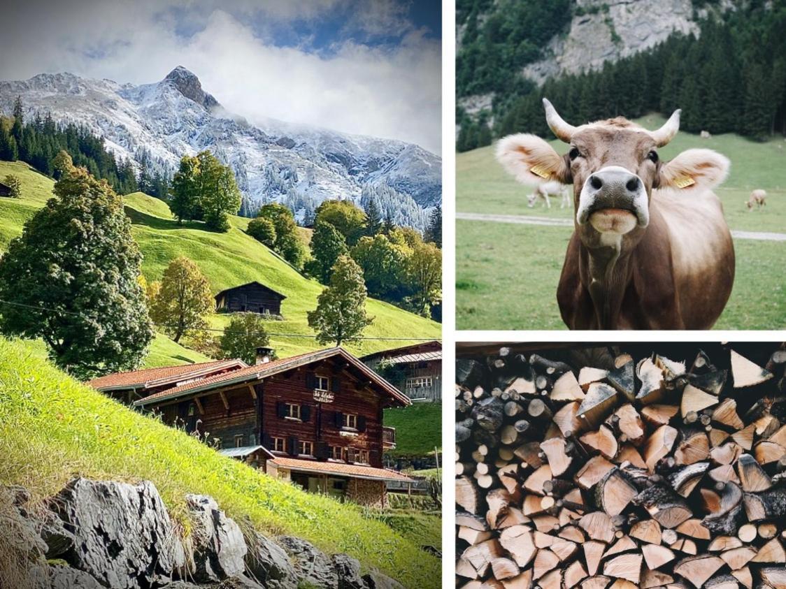 Berglodge Ascharina Sankt Antönien Exterior foto